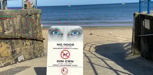 Clean up and dispose correctly, or face fines - dog owners urged