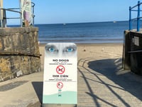 Clean up and dispose correctly, or face fines - dog owners urged
