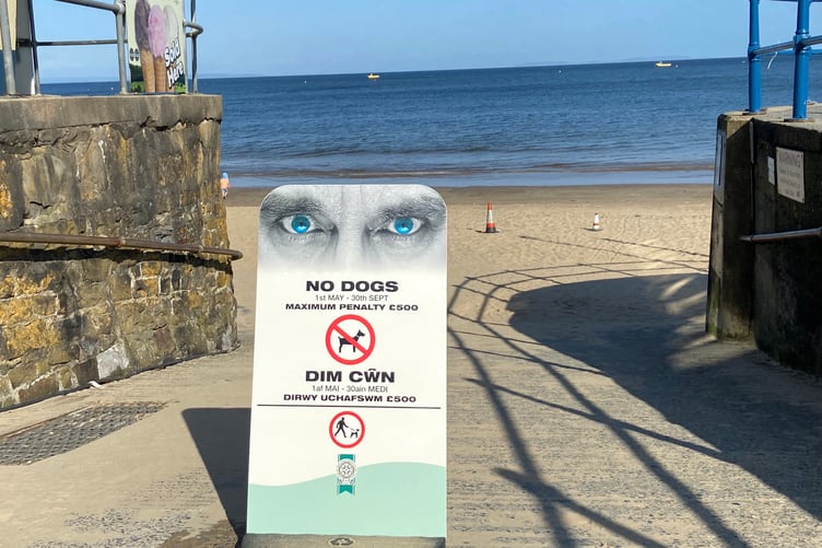 Saundersfot dog sign