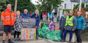 Levels of littering highlighted in one morning at Saundersfoot