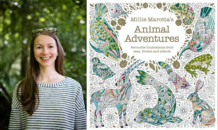Tenby author Millie Marotta and her new Animal Adventures colouring book