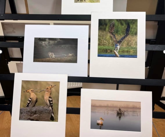 The winning entries