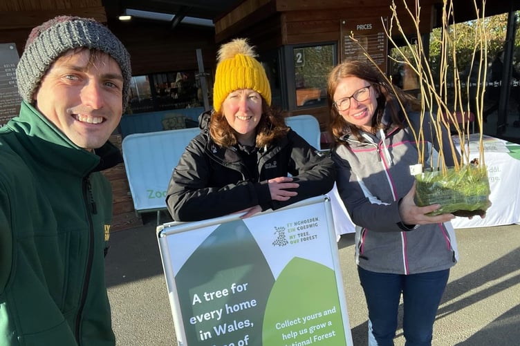 The Folly Farm team taking part in the National Forest for Wales scheme.