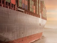 Councillors back starter funding to reduce freeport risks