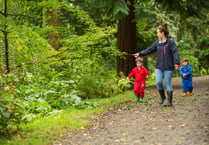 This Half Term, visit Colby Woodland Gardens, Dinefwr or Llanerchaeron