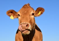 NFU Cymru members in Pembrokeshire invited to county meeting