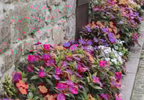 Council launches projects to brighten up and improve town centres