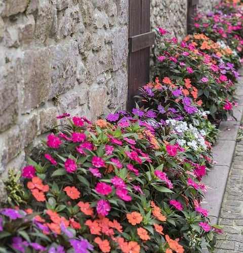 Flower beds
