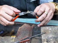 PCC's ‘Skills Futures’ initiative creates exciting work opportunities
