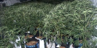 Drugs worth over £3.15m seized across Wales region