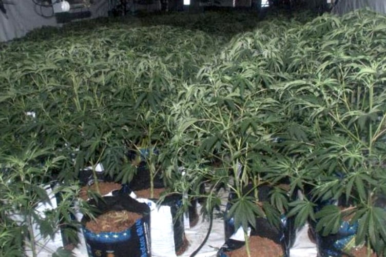 county lines intensification week