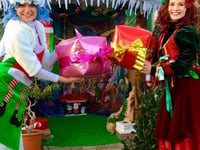 A winter’s woodland tale at the Torch