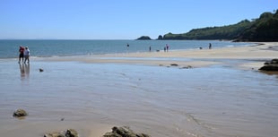 Commercial harvesting concerns on Saundersfoot beach resurface