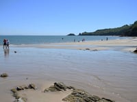 Commercial harvesting concerns on Saundersfoot beach resurface