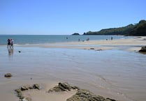 Commercial harvesting concerns on Saundersfoot beach resurface