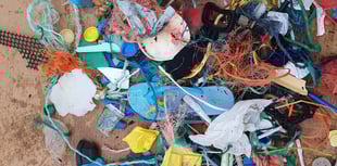 Saundersfoot beach clean throws up plethora of plastic and objects