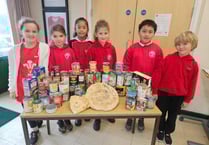 Stepaside pupils show support for Tinman Tuesday and PATCH