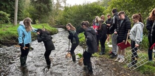 Tenby’s Greenhill students get the measure of biodiversity