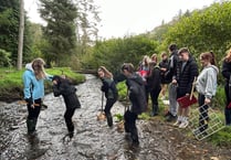 Tenby’s Greenhill students get the measure of biodiversity