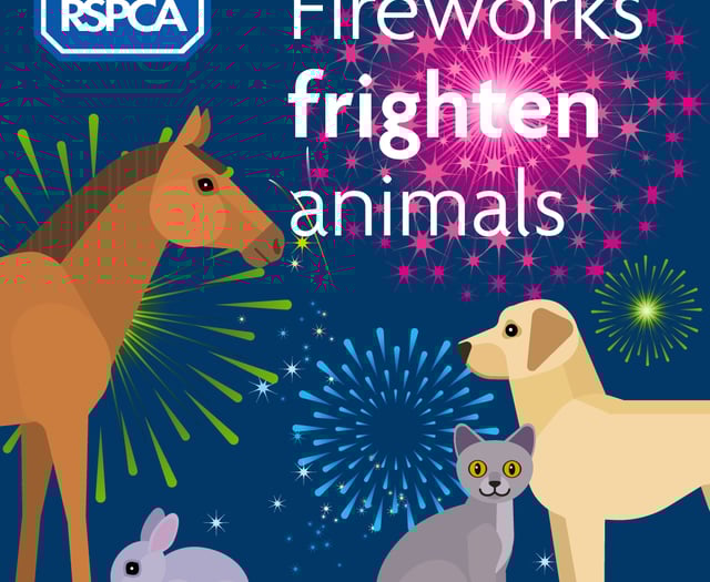Local councils have backed RSPCA measures to combat fireworks fear