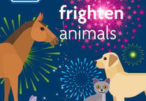 Local councils have backed RSPCA measures to combat fireworks fear