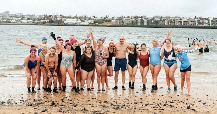 Bluetits meet the Icelandic president at Naultholsvik Geothermal Beach, Reykjavik
