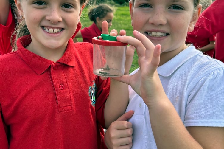 Stepaside School bug hunters