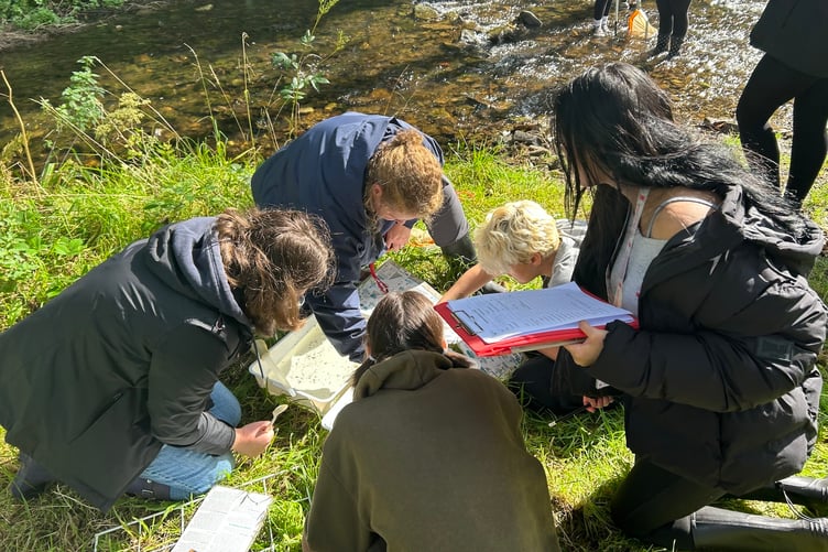 Ysgol Harri Tudur students collecting data