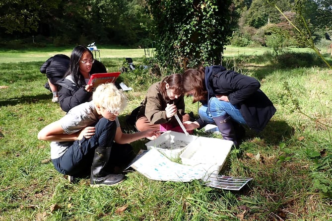 Ysgol Harri Tudur students identifying invertebrates