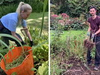 Carmarthenshire garden welcomes students to learn and work