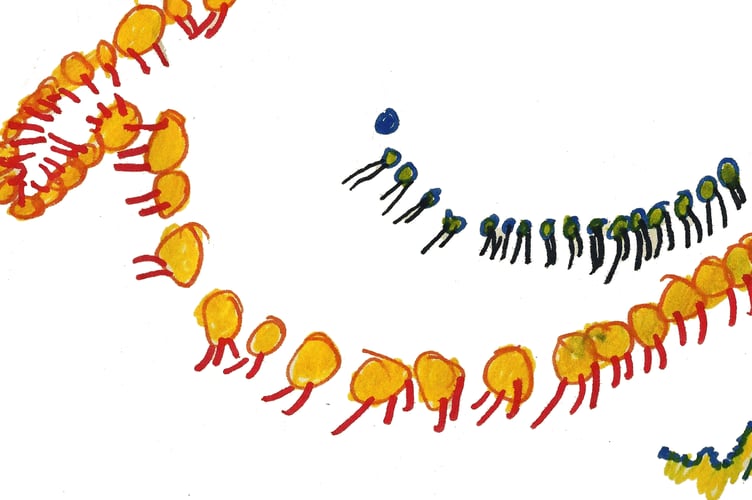 Centipede - Greg Mandy