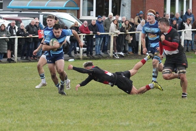 Narberth rugby