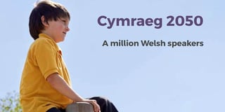 Doubts raised over one million Welsh speakers target