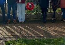 ‘Poppy Walk’ of Remembrance created by town’s young people
