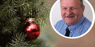 Attempt to overturn 'mean spirited' Christmas tree collection charges