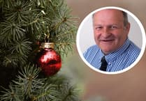 Attempt to overturn council's 'mean spirited' Christmas tree collection charges