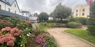More shrubs for Saundersfoot's Sensory Garden