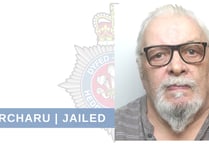 Jail for ‘deluded and ill-tempered’ driver who ‘used car as a weapon’