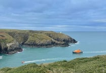 RNLI St Davids cancel exercise launch to rescue dog