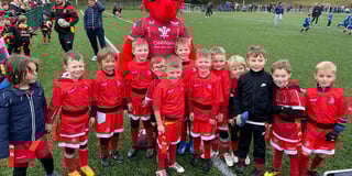 Pembroke juniors enjoy mini rugby festival