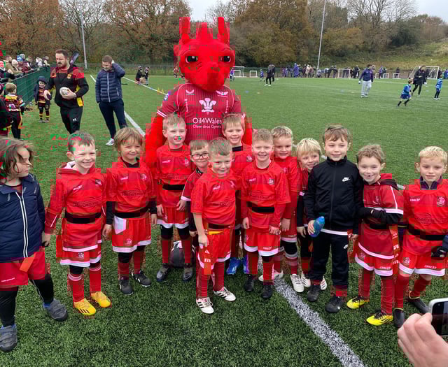 Pembroke juniors enjoy mini rugby festival