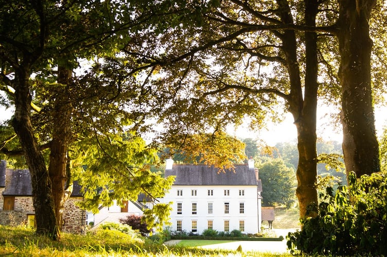 Grove of narberth