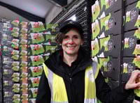 Short-term festive contracts can bring long-term benefits