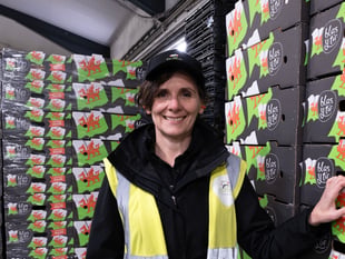 Short-term festive contracts can bring long-term benefits