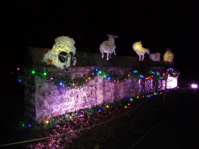 Cardiff Christmas illuminations