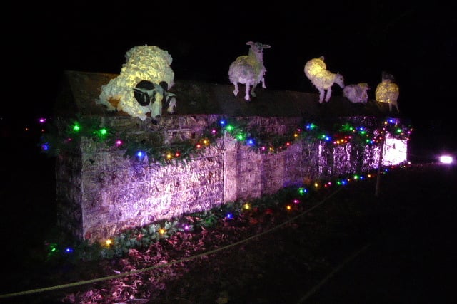 Cardiff Christmas illuminations