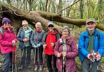 Watch: Walking group Steps2Health explore Tenby, Penally, Manorbier and Bosherston