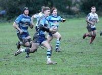 Otters sit clear on top of the table