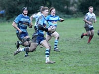 Otters sit clear on top of the table