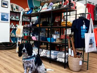 Sponsored - Salty Spaniel shop opens in Saundersfoot